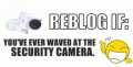 Comments, Graphics - Reblog If 